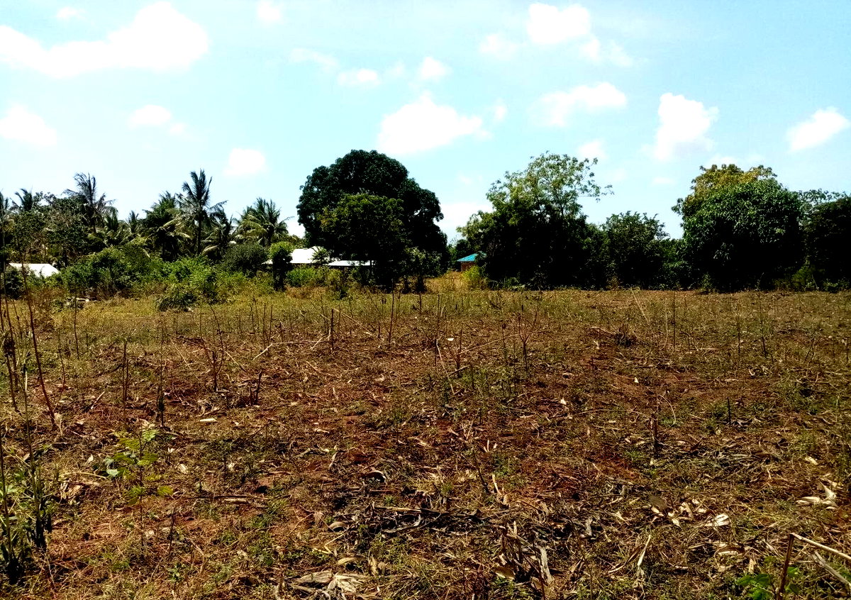 1-Acre Plot at KSh 3.2M