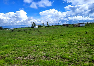 1-Acre Plot Near Ndovoini Market