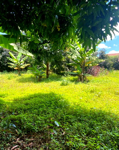 1.5-Acre Plot Next to Safari Park Hotel