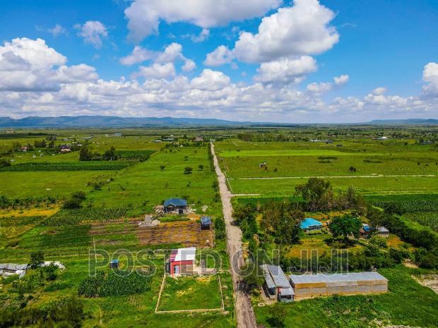 Malaa Plots in a Green Environment Mw