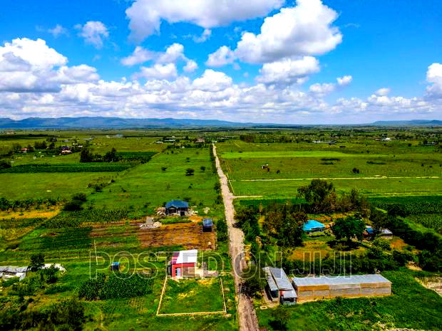 Malaa Plots in a Green Environment Mw