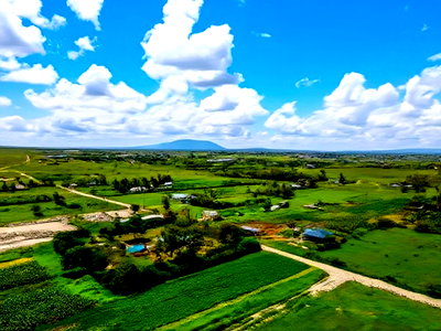 Malaa Plots in a Green Environment Mw