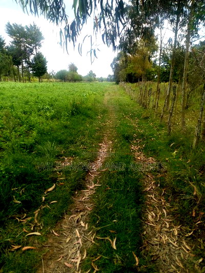 Land On Sale At Mwendandu Kinangop - Image 4