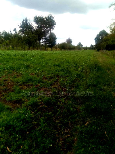 Land On Sale At Mwendandu Kinangop - Image 2