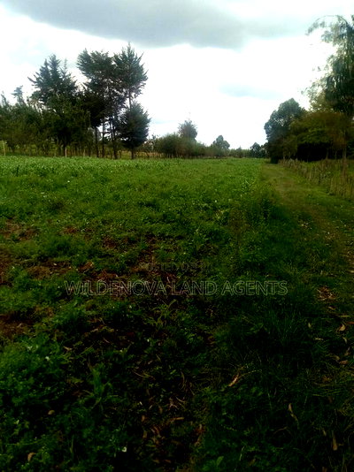 Land On Sale At Mwendandu Kinangop - Image 1