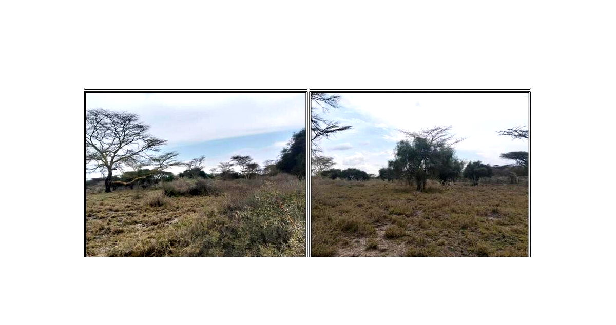 6-Acre Land in Isinya
