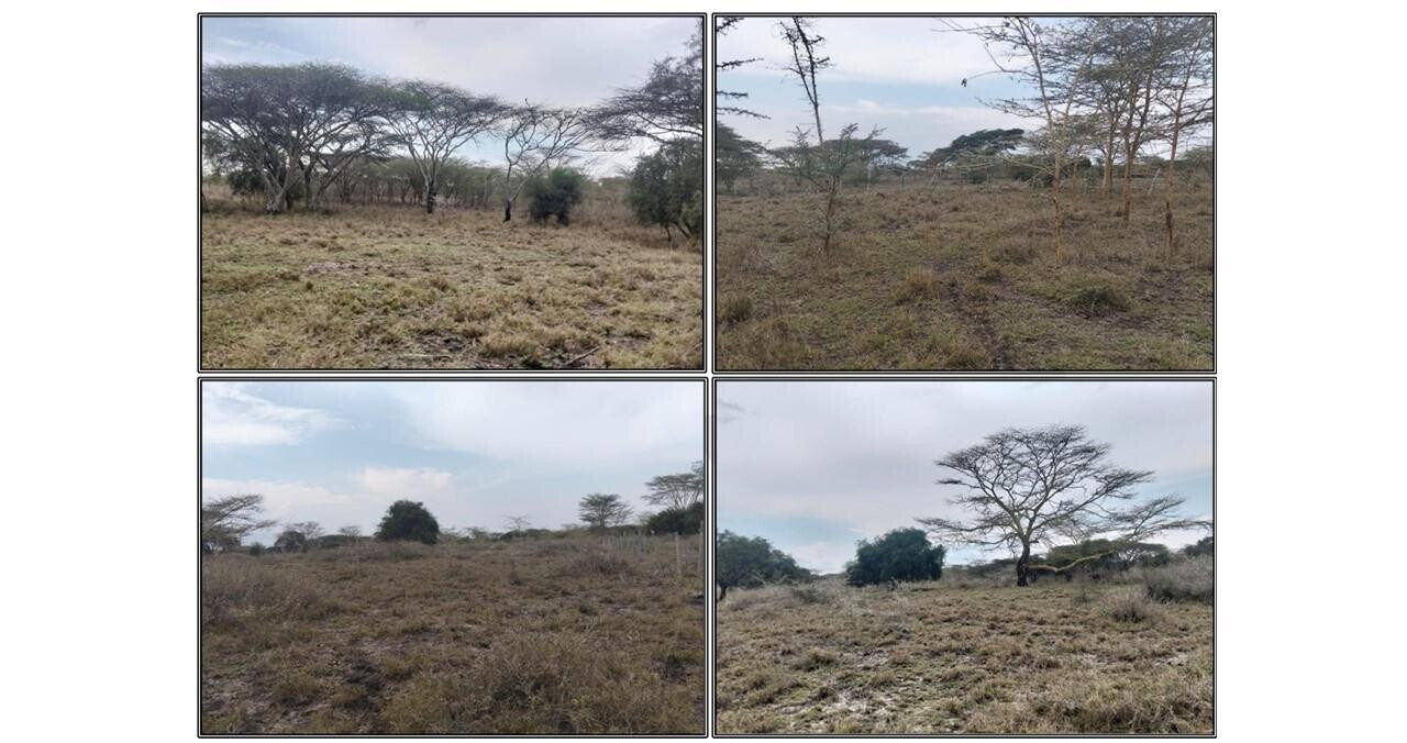6-Acre Land in Isinya