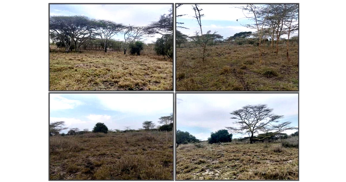 6-Acre Land in Isinya