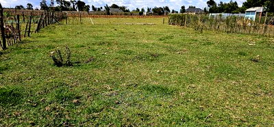 1/8 Plot For Sale In Royalton Eldoret - Image 6
