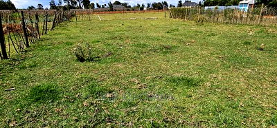 1/8 Plot For Sale In Royalton Eldoret - Image 1