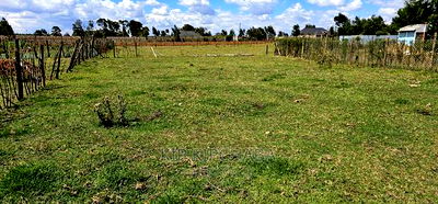 1/8 Plot For Sale In Royalton Eldoret - Image 3