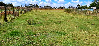 1/8 Plot For Sale In Royalton Eldoret - Image 4
