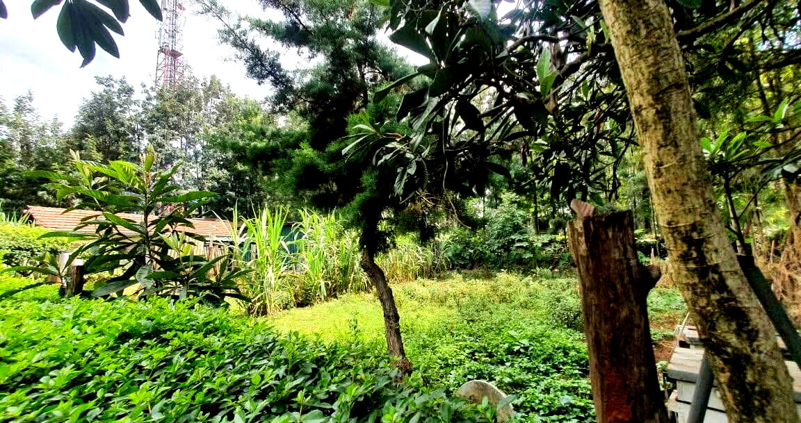 Half Acre Townhouse in Karen