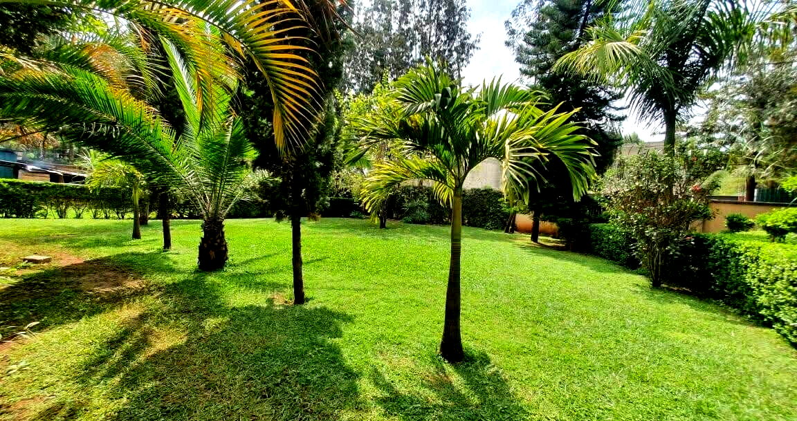 Half Acre Townhouse in Karen