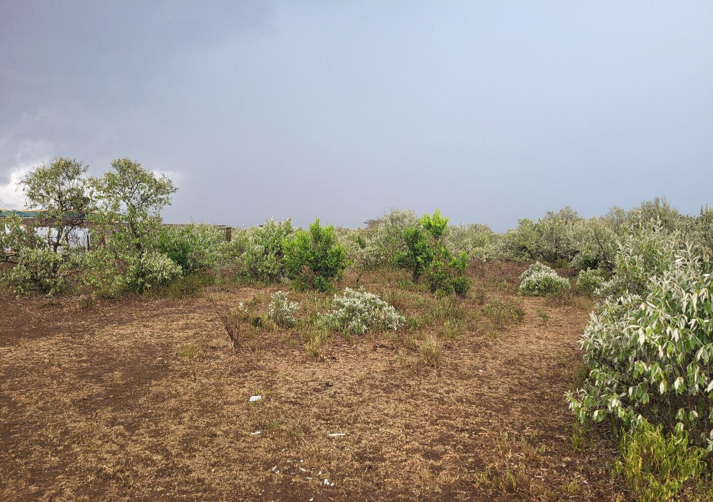 1/8 Acre Plot for KSh 375K in Narok