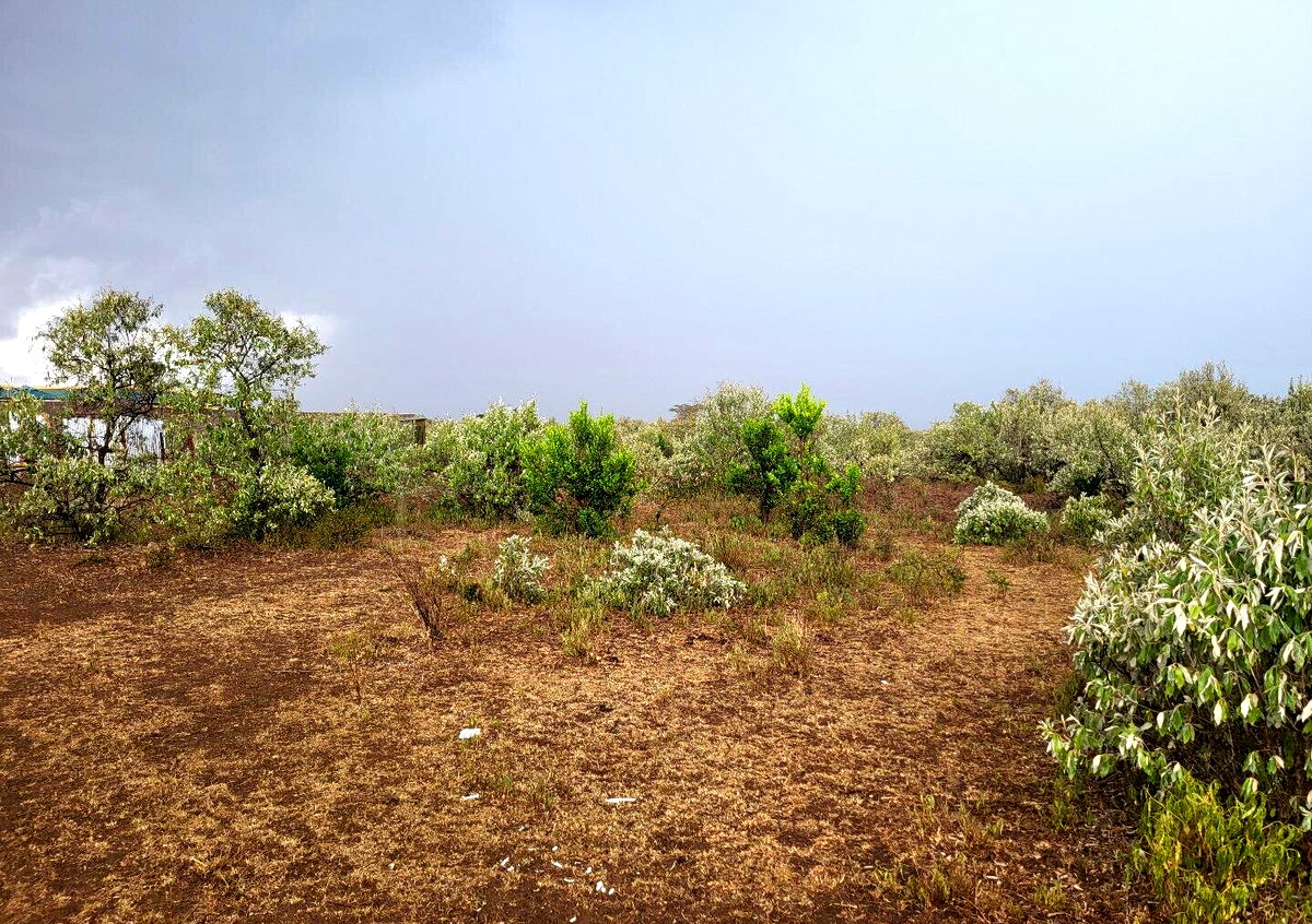 1/8 Acre Plot for KSh 375K in Narok