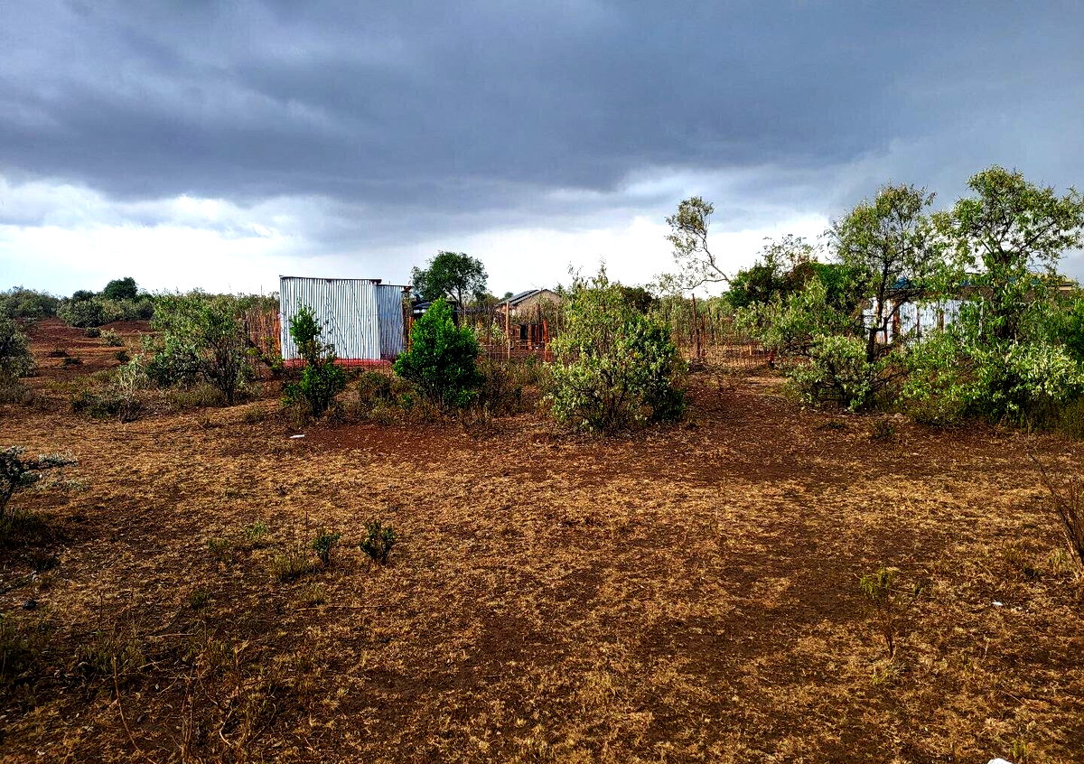 1/8 Acre Plot for KSh 375K in Narok