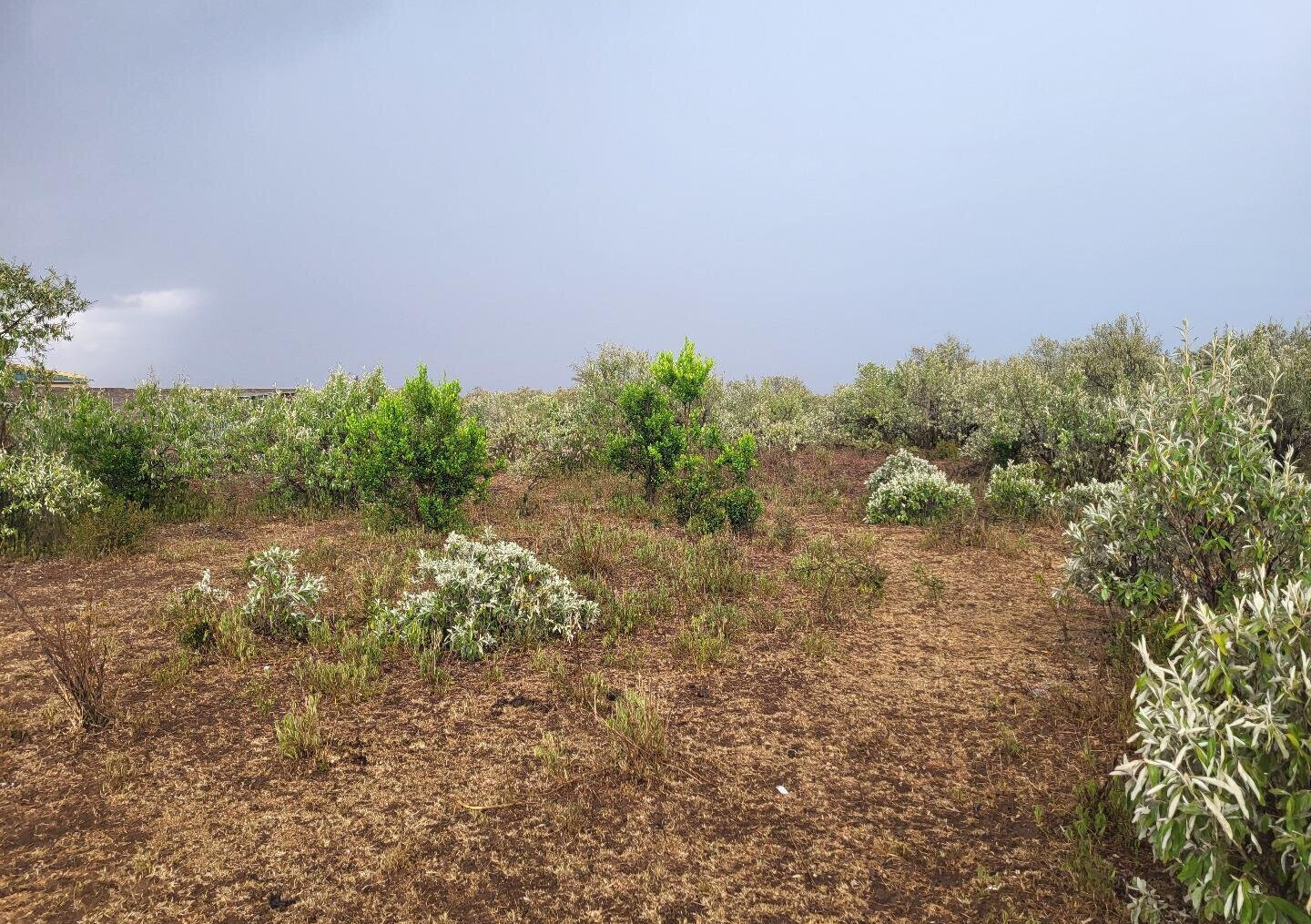 1/8 Acre Plot for KSh 375K in Narok