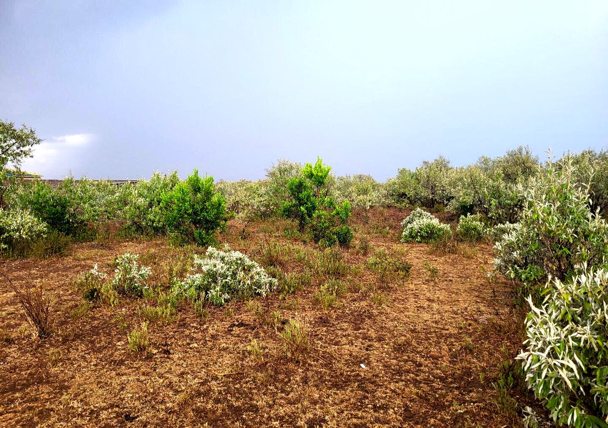 1/8 Acre Plot for KSh 375K in Narok