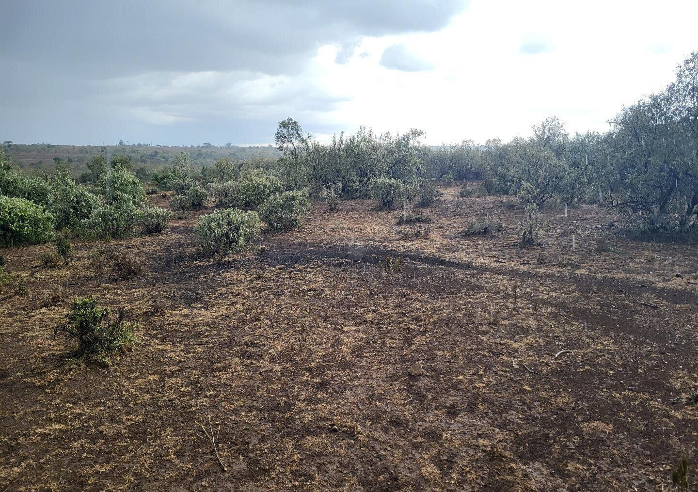1/8 Acre Plot for KSh 375K in Narok