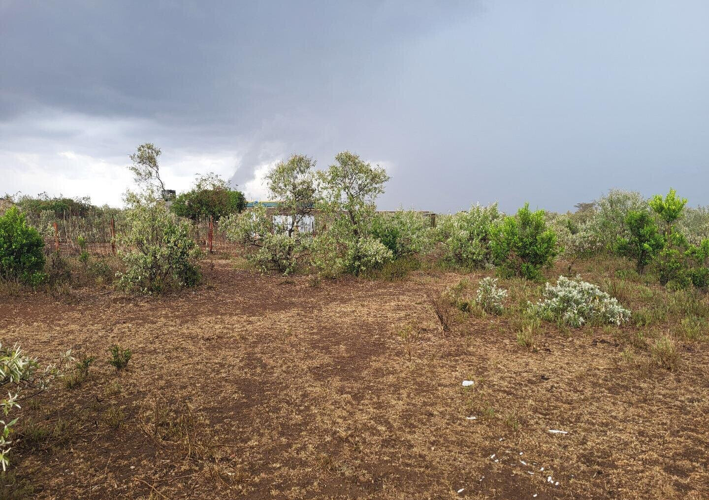 1/8 Acre Plot for KSh 375K in Narok