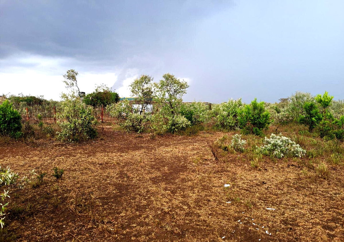 1/8 Acre Plot for KSh 375K in Narok