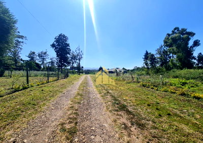 Quarter Acre Plot with Garden in Oloolua