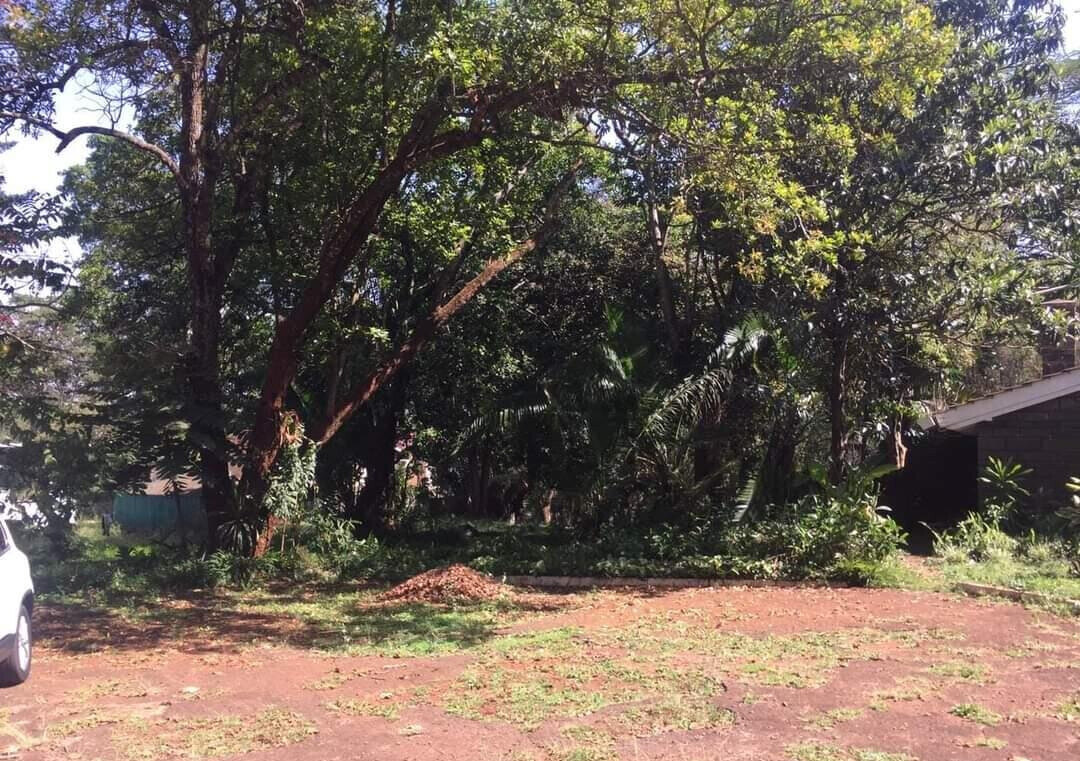 5-Acre Garden Estate at KSh 520M