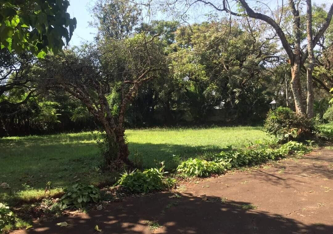 5-Acre Garden Estate at KSh 520M