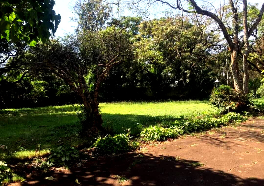 5-Acre Garden Estate at KSh 520M