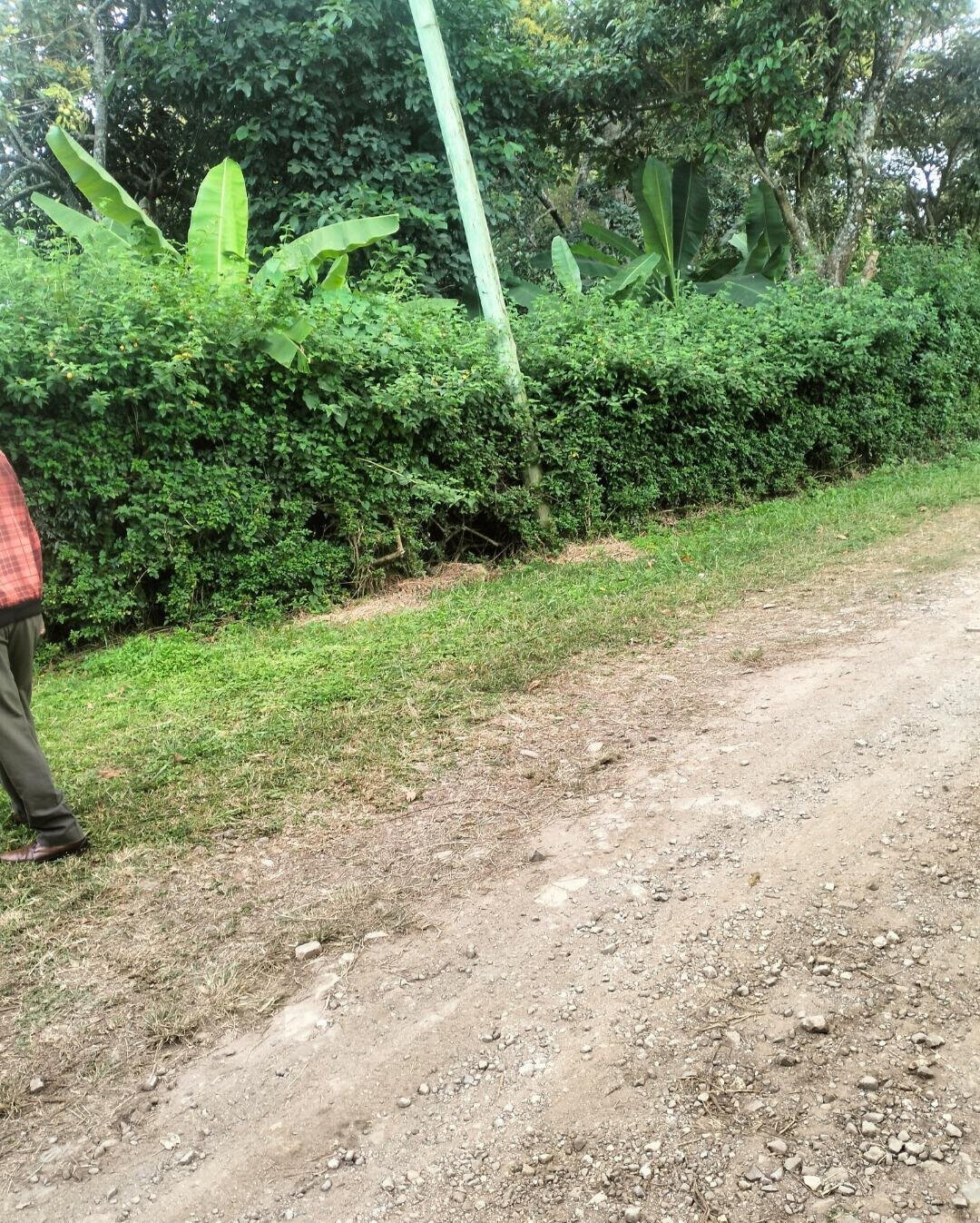 KSh 4K Plot in Karen