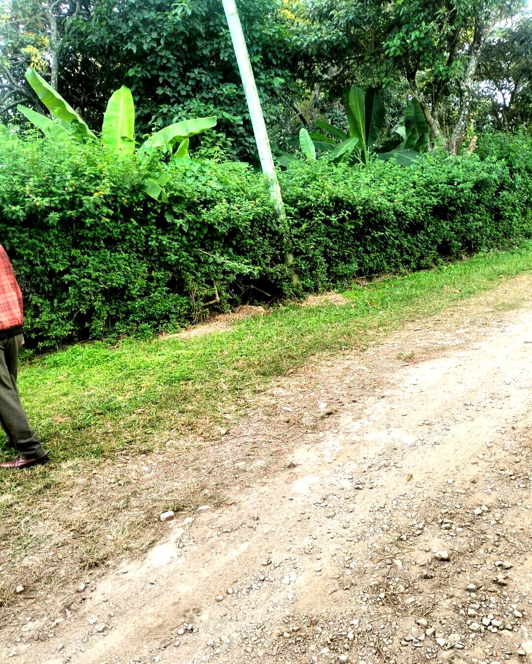 KSh 4K Plot in Karen