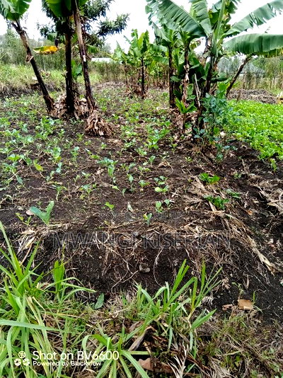 Plot for Sale in Kiserian - Image 2