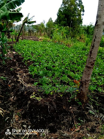 Plot for Sale in Kiserian - Image 14