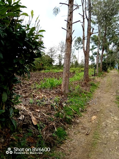 Plot for Sale in Kiserian - Image 5