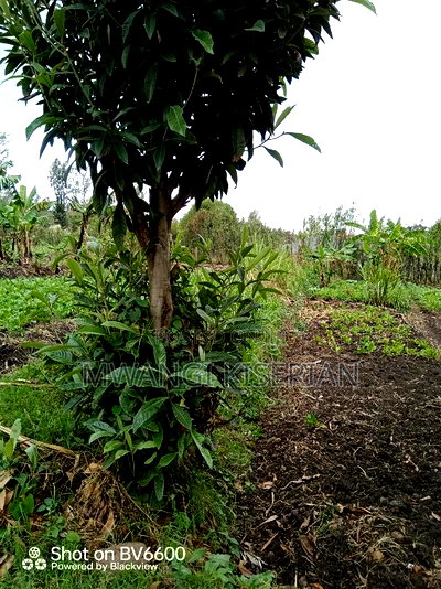 Plot for Sale in Kiserian - Image 10
