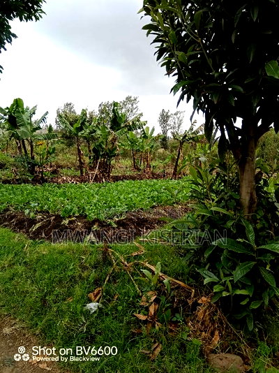 Plot for Sale in Kiserian - Image 11