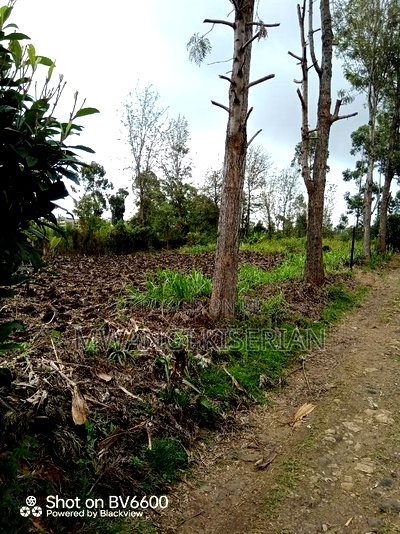 Plot for Sale in Kiserian - Image 4