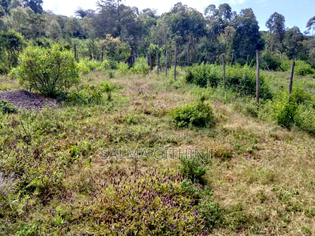 Prime 50 by 100 Plot for Sale in Kikuyu,Nachu