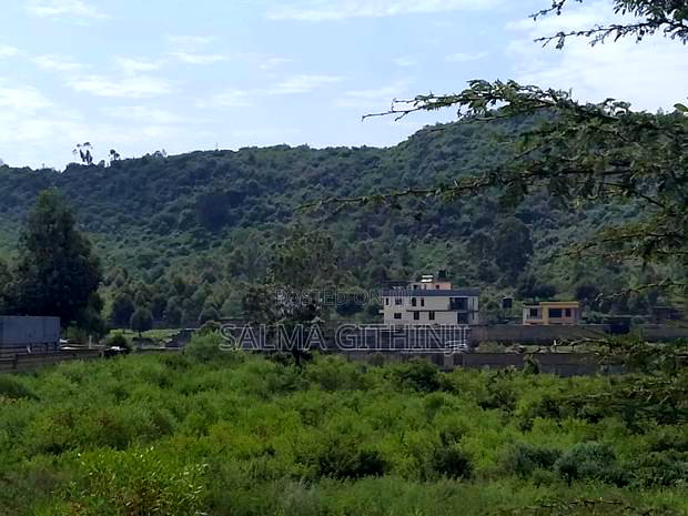 Prime 50 by 100 Plot for Sale in Kikuyu,Nachu