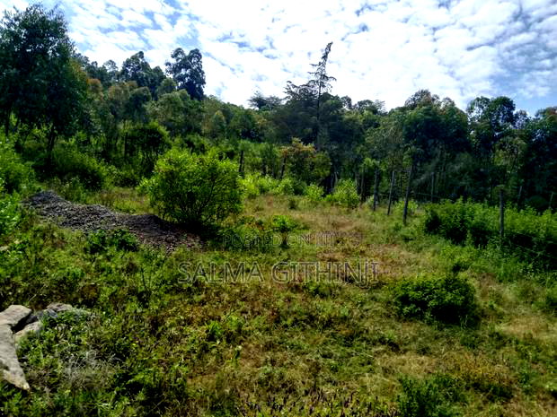 Prime 50 by 100 Plot for Sale in Kikuyu,Nachu