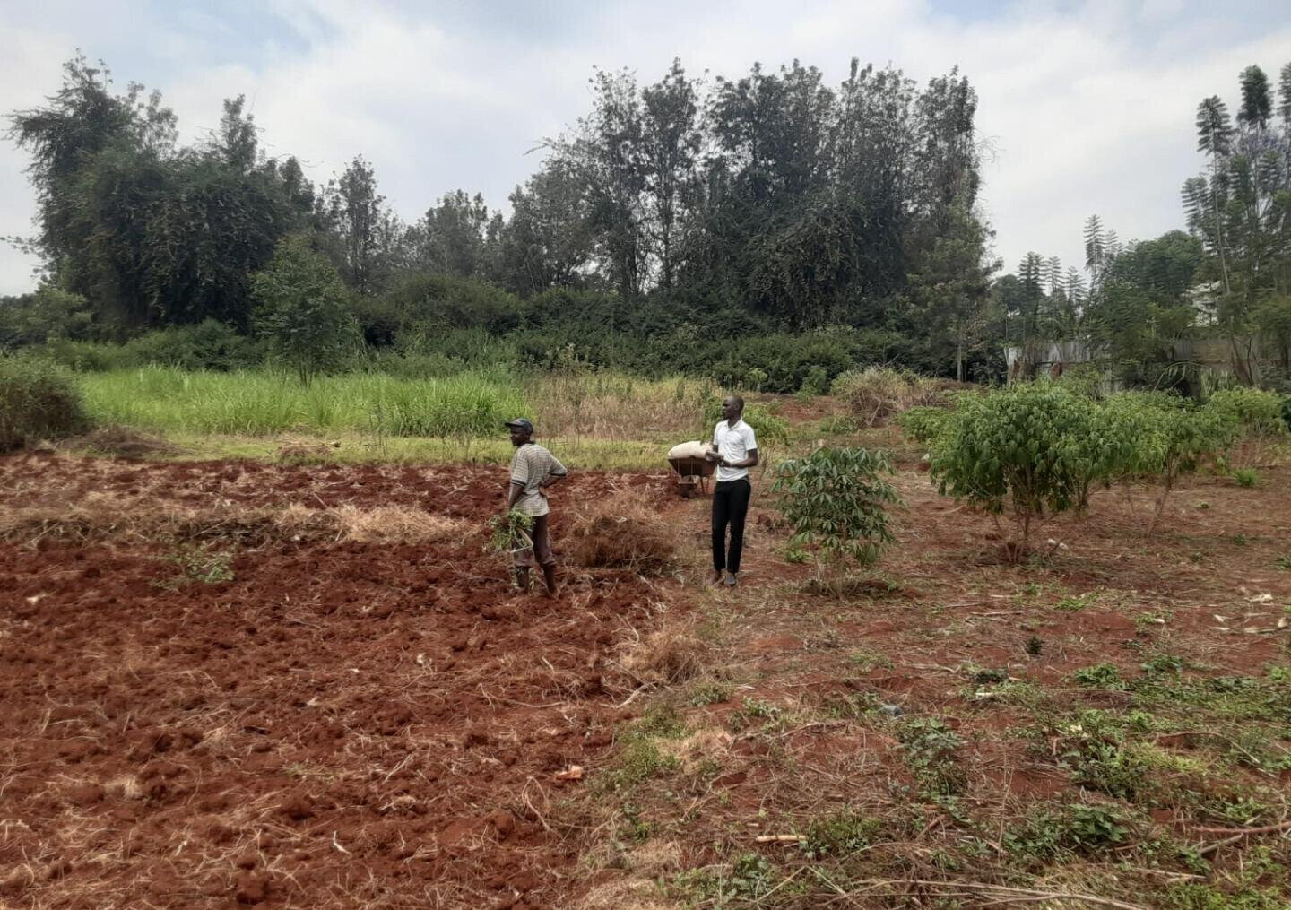 1/2 Acre Kiambu Rd Plot at KSh 30M