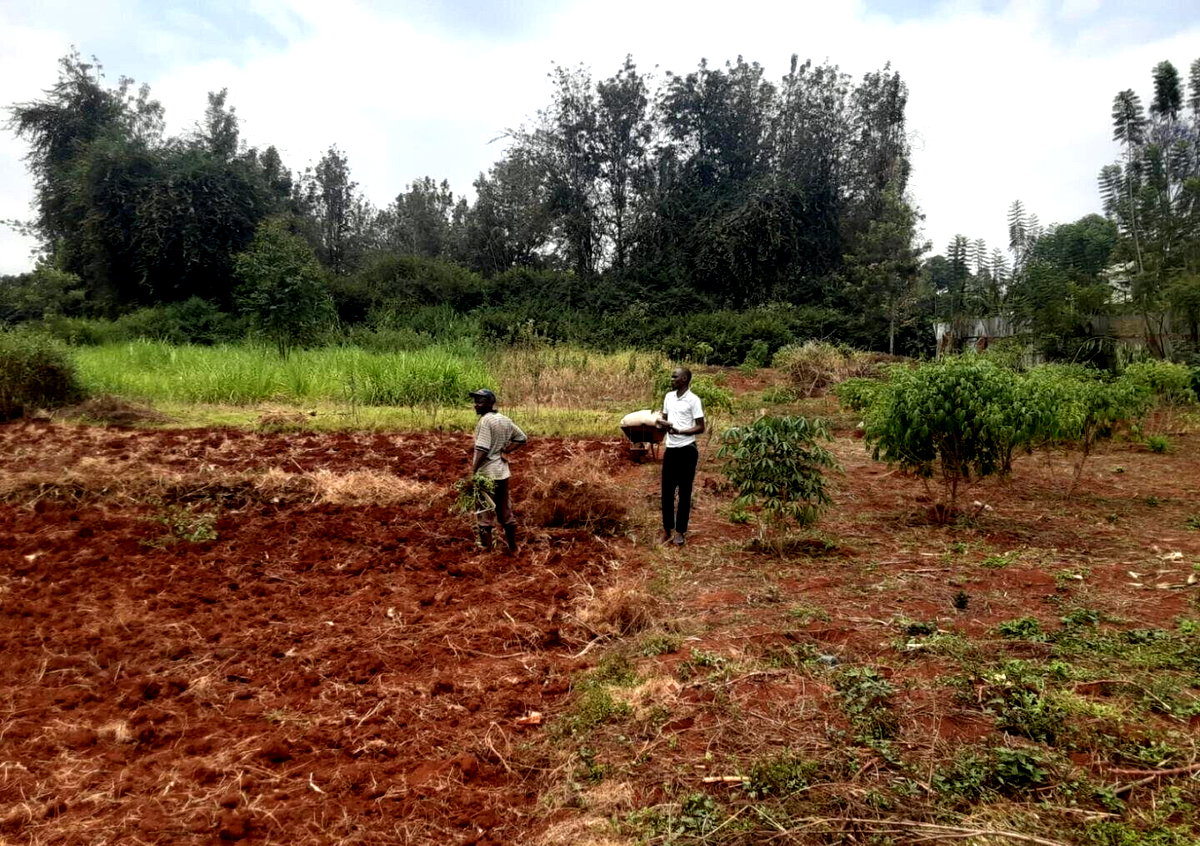 1/2 Acre Kiambu Rd Plot at KSh 30M