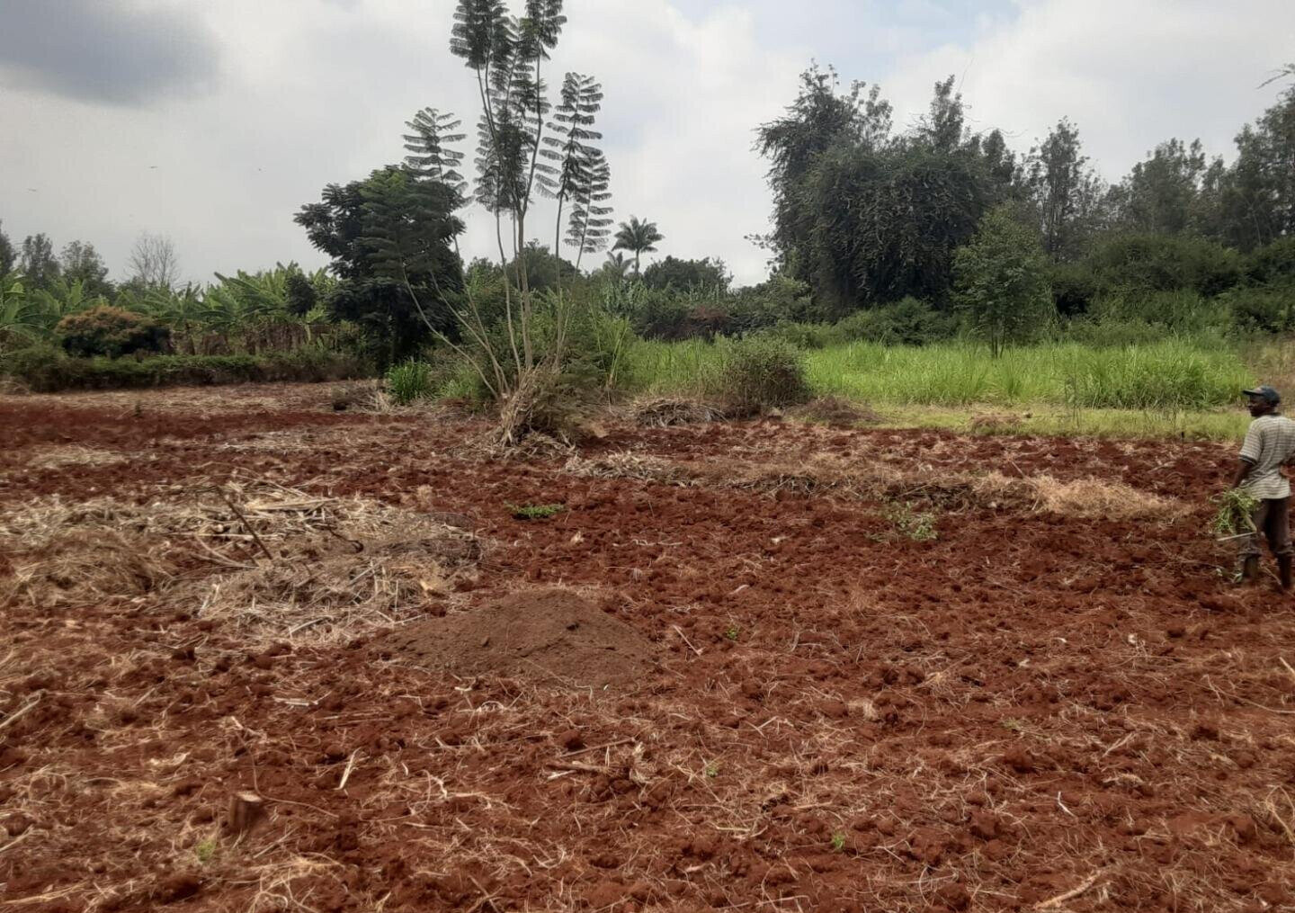 1/2 Acre Kiambu Rd Plot at KSh 30M