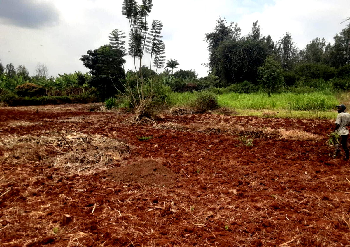 1/2 Acre Kiambu Rd Plot at KSh 30M