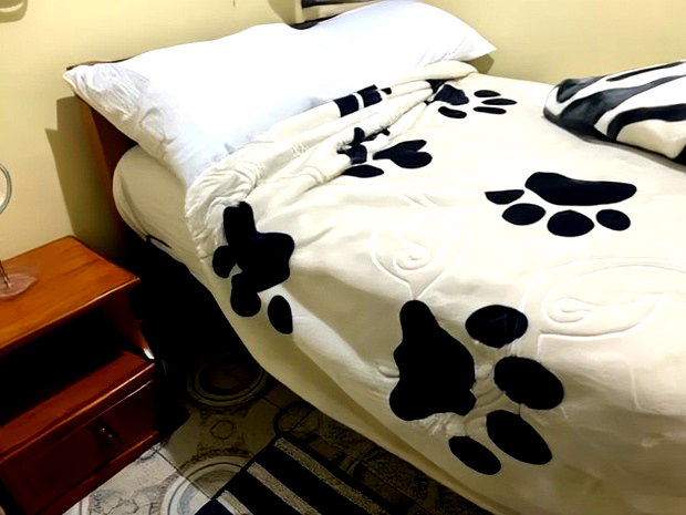Furnished 1bdrm Bedsitter in Ngong Rd, Posta, Jamhuri Estate for rent