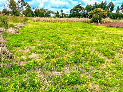 Half Acre Land for Sale in Kikuyu, Ondiri. - Image 4