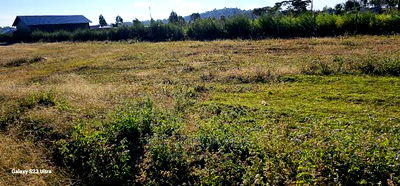 Several Plots for Sale in Illula Eldoret - Image 6