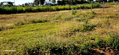 Several Plots for Sale in Illula Eldoret - Image 5
