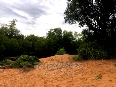An Acre Land At Mida Creek In Watamu - Image 2